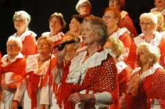 Den Bosch 14 december 2023