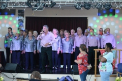 De Werf 2 juni 2019