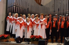 Den Haag Emmauskerk 12 januari 2020