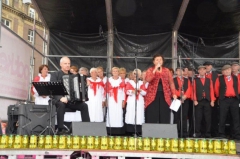 Draaiorgelfestival 30 september 2017