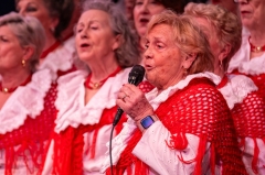 Rode Hoed II 8 maart 2026