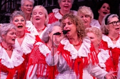 Rode Hoed II 8 maart 2026