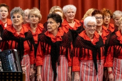 Torendael 12 februari 2023