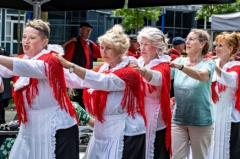 Veteranendag 18 juni 2022