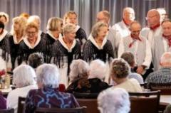 Westerhaven 9 november 2025