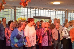 Westwijk 11 november 2018