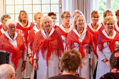 Westwijk 23 oktober 2022